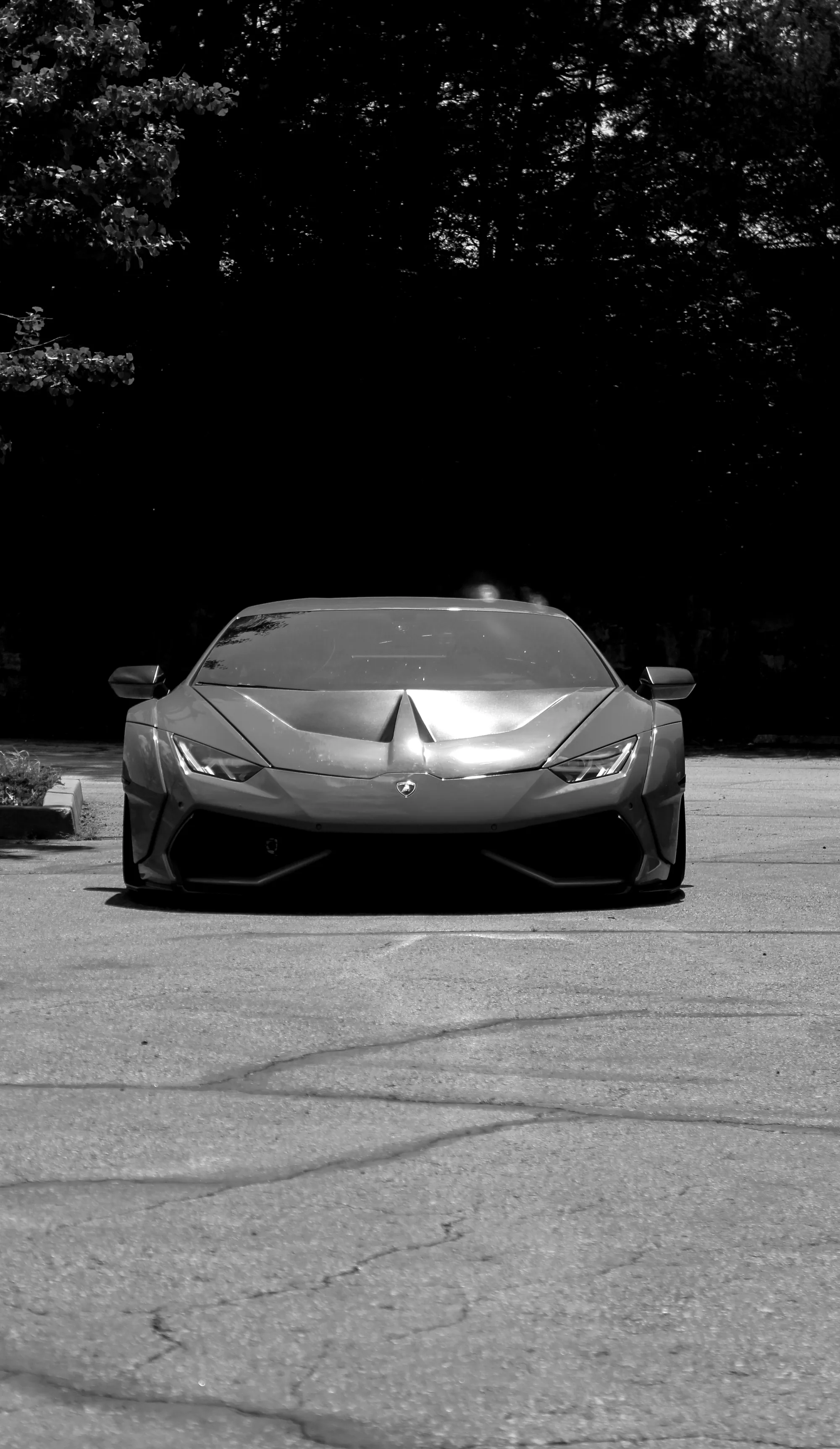 Lamborghini Hurac&aacute;n shot low and head-on against dark trees at dusk